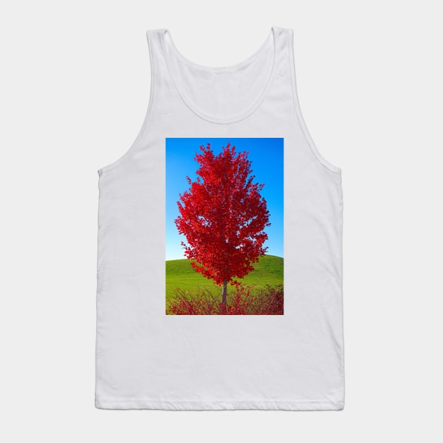 Riverfront Park Primaries Tank Top by bobmeyers